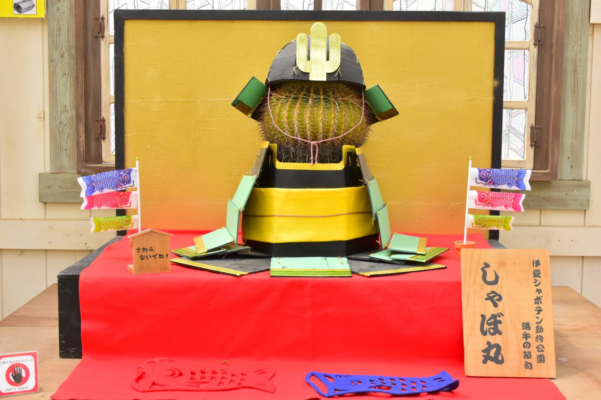 季節外SALE 端午の節句 サムライカブト