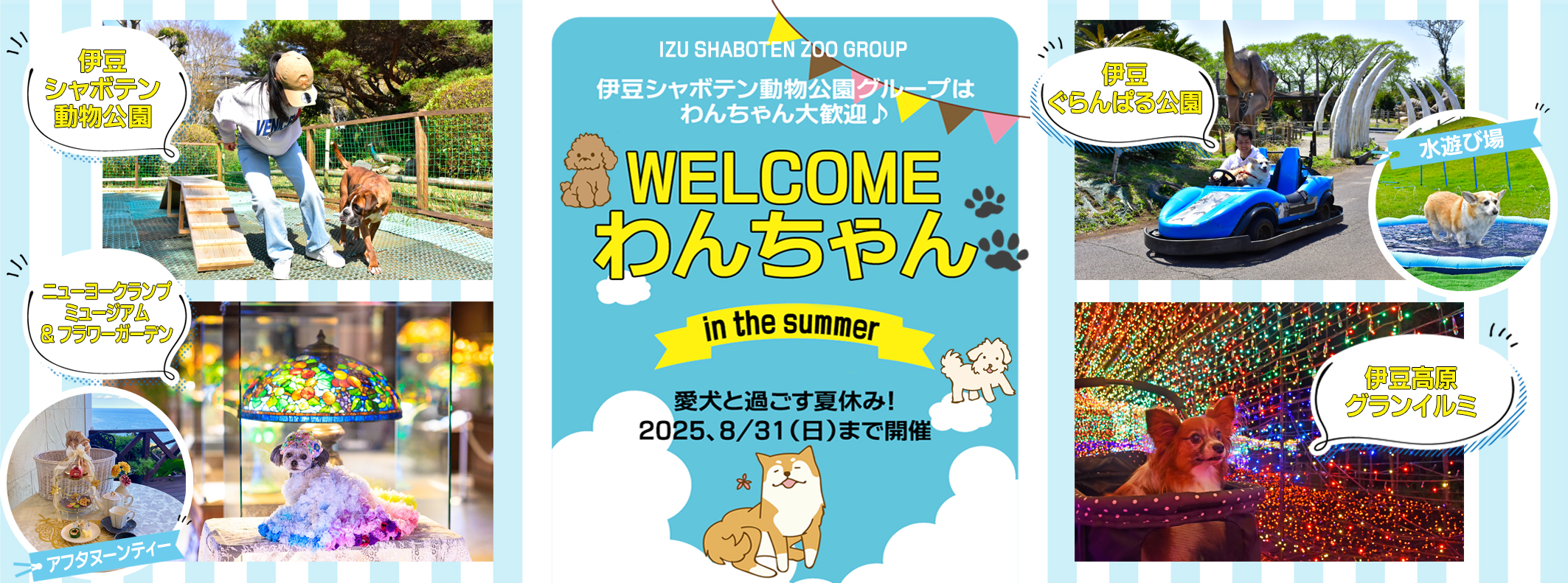 『WELCOMEわんちゃんin the summer』～ 愛犬と過ごす夏休み！　2025.8/31（日）まで開催 ～