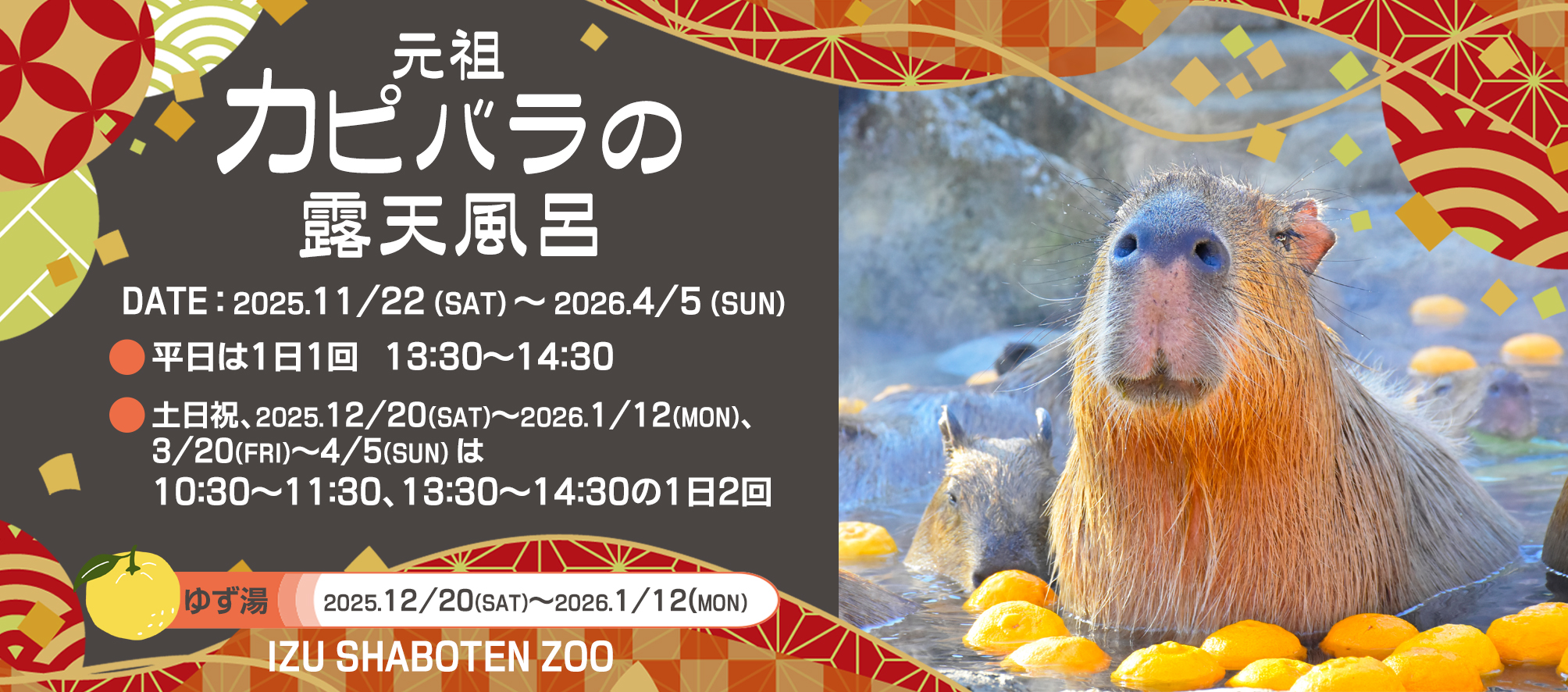 “伊豆の冬の風物詩” 「元祖カピバラの露天風呂」スタート！ 2025年11月22日（土）～2026年4月5日（日）
