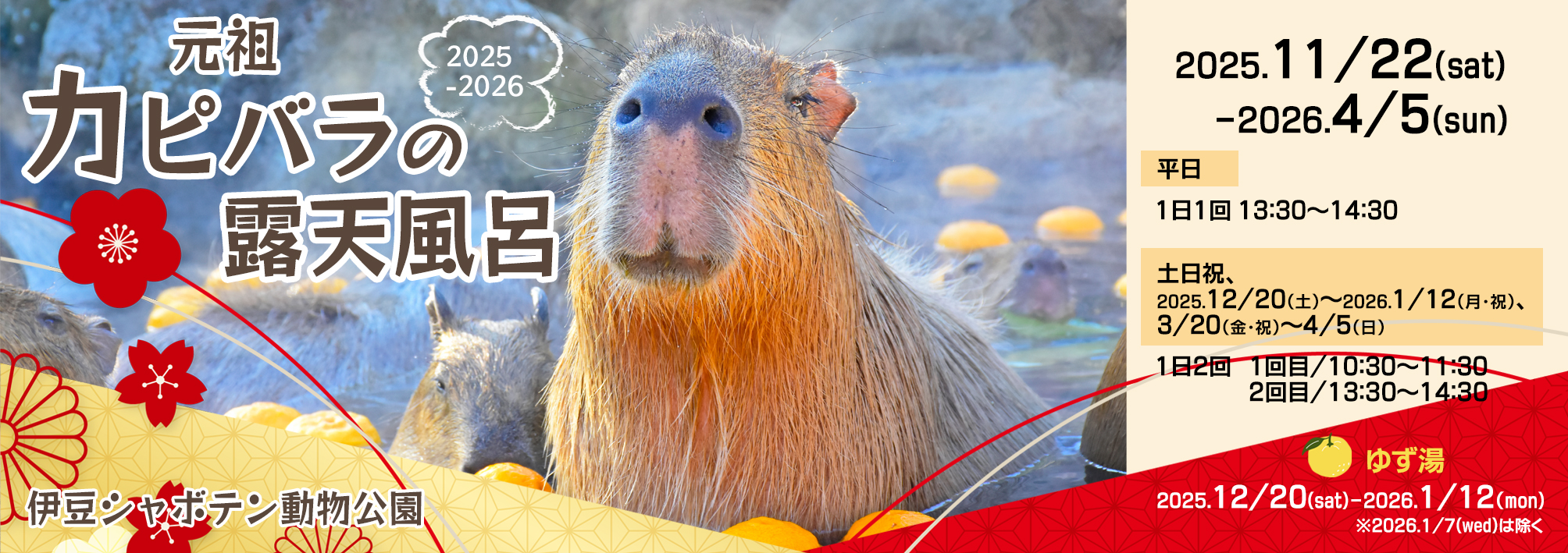 “伊豆の冬の風物詩” 「元祖カピバラの露天風呂」イベント