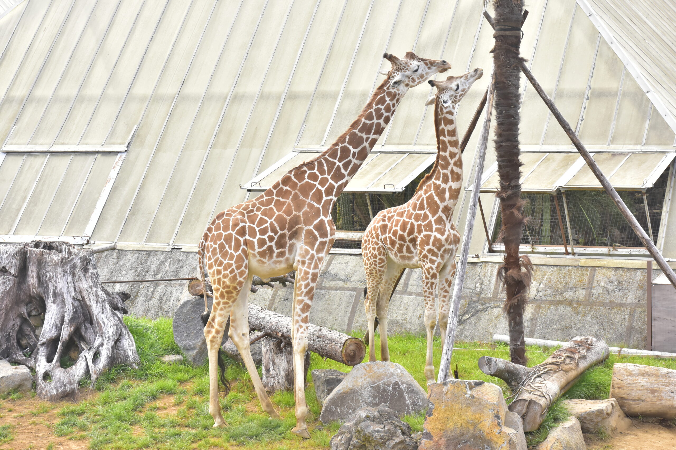 【テレビ放映のお知らせ】2026年3月24日（火）、25日（水）　16：50～19：00 テレビ静岡「ただいま！テレビ」
